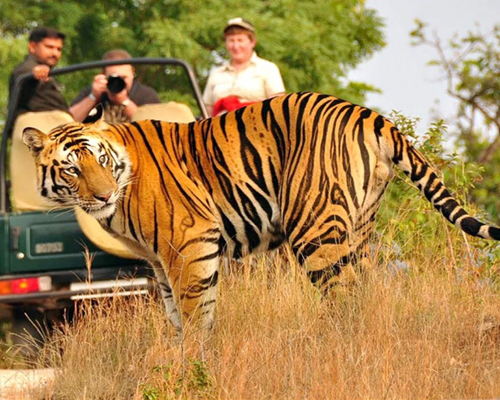 Nainital and Jim Corbett